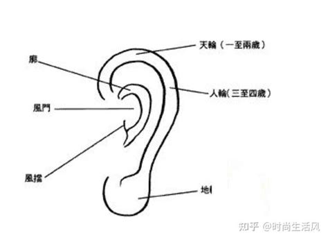 耳朵 痣|耳朵上面长痣